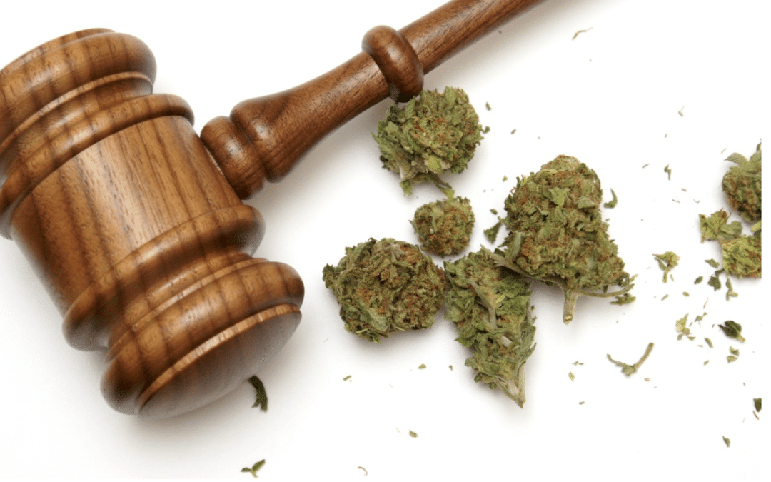 Hey California, Know Your Weed Laws by YEW Online