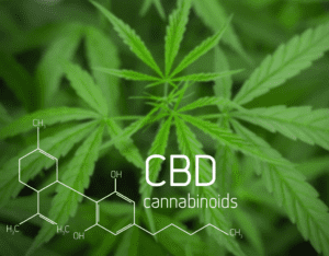 CBD Cannabinoids