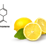 limonene molecular make up