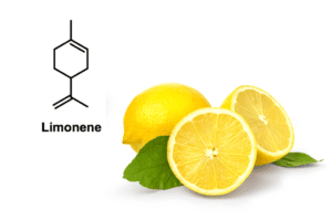 limonene molecular make up
