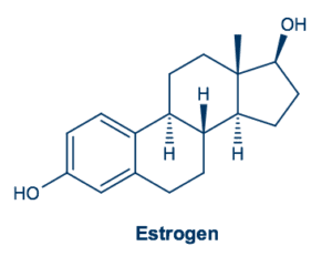 Estrogen Molecular Make UP