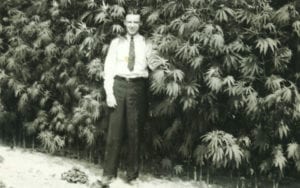 Black and white photo of a well-dressed man standing in front of a cannabis farm.