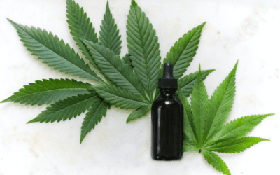 Everything You Need to Know About Cannabis Tinctures