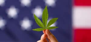 Cannabis with american flag