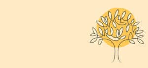 Cannabis and cancer workshops