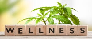 Cannabis and Wellness