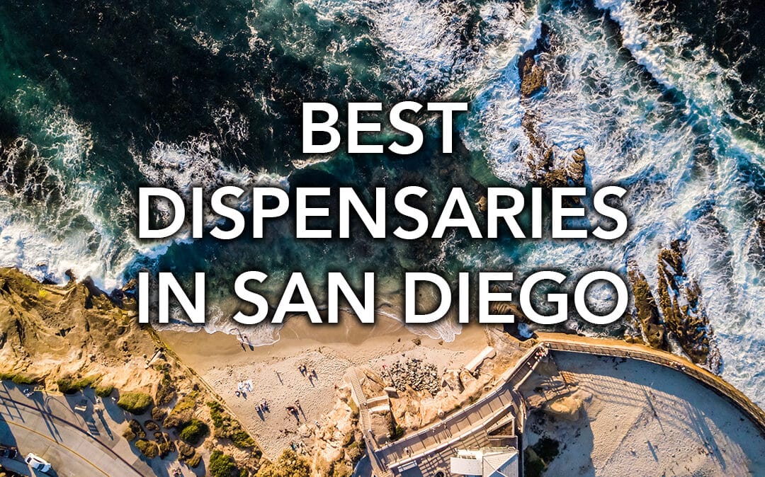 Best Dispensaries in San Diego | Torrey Holistics