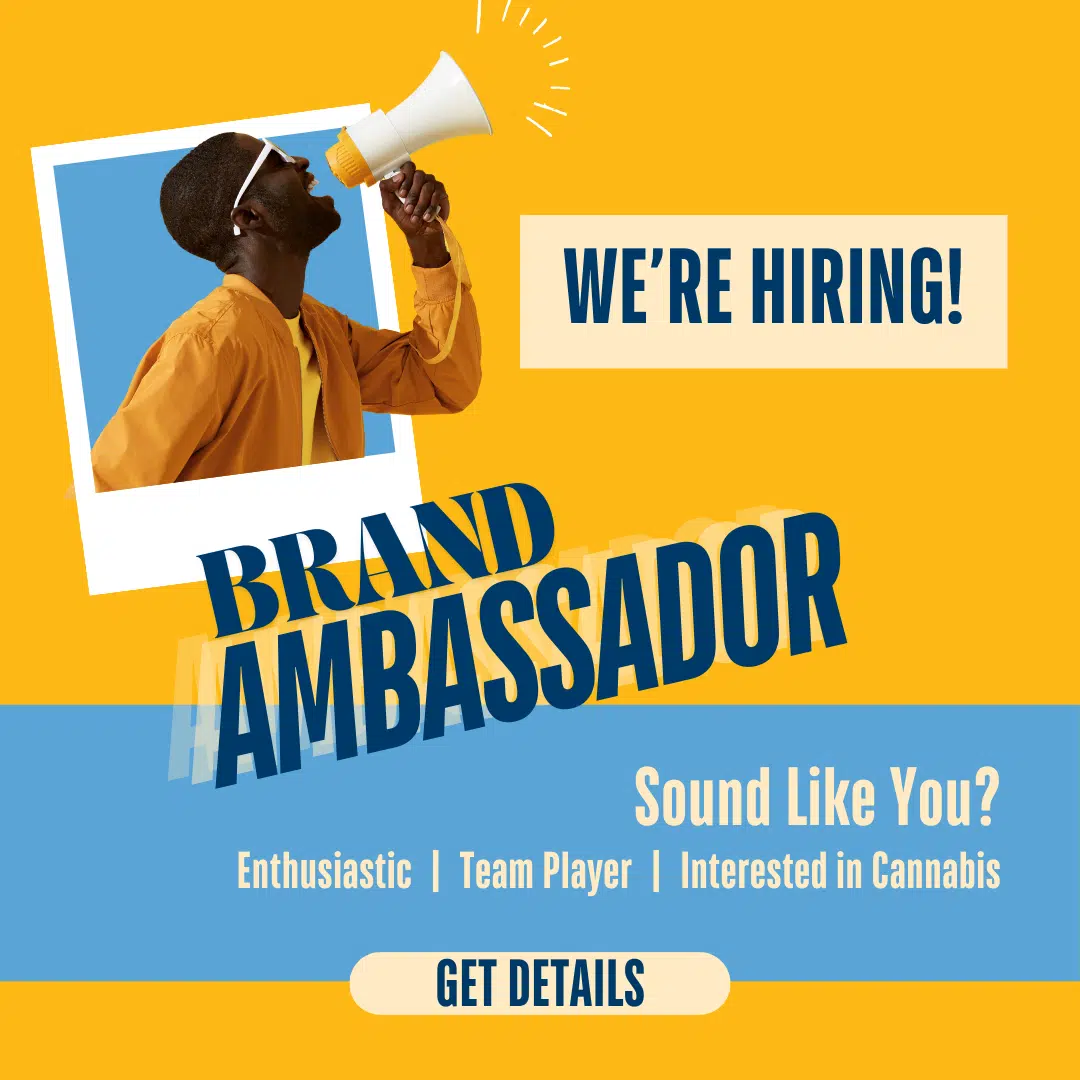 Graphic with man shouting into megaphone with the text: We're Hiring! Brand Ambassador. Sound Like You? Enthusiastic. Team Player. Interested in Cannabis. Get Details.