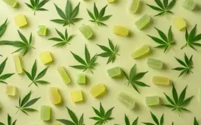 Best Edibles for Anxiety: Guide to Calming Cannabis Treats