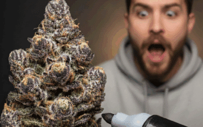 Permanent Marker Strain Information Guide